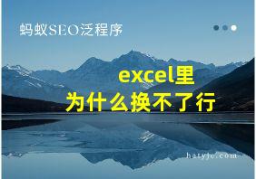 excel里为什么换不了行