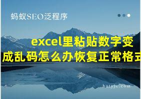 excel里粘贴数字变成乱码怎么办恢复正常格式