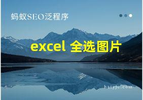 excel 全选图片