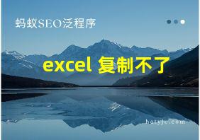 excel 复制不了