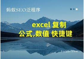 excel 复制 公式,数值 快捷键