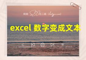 excel 数字变成文本