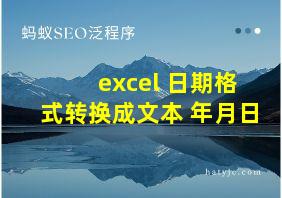 excel 日期格式转换成文本 年月日