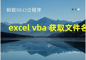 excel vba 获取文件名