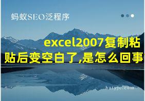 excel2007复制粘贴后变空白了,是怎么回事?