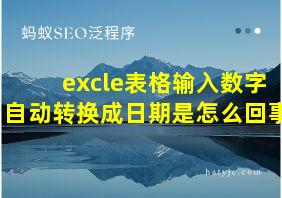 excle表格输入数字自动转换成日期是怎么回事