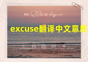 excuse翻译中文意思