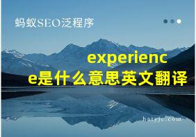 experience是什么意思英文翻译