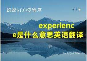 experience是什么意思英语翻译