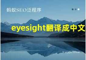 eyesight翻译成中文