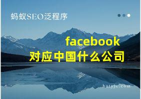 facebook对应中国什么公司