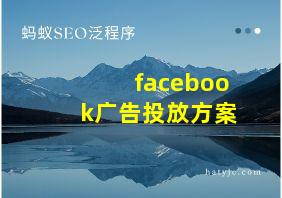 facebook广告投放方案