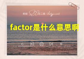 factor是什么意思啊