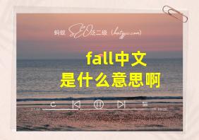 fall中文是什么意思啊