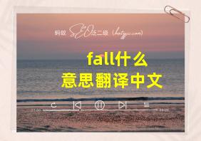 fall什么意思翻译中文