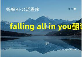 falling all in you翻译