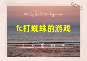 fc打蜘蛛的游戏