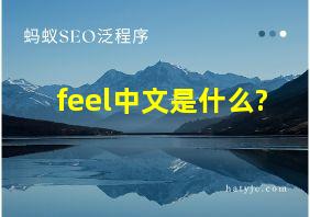 feel中文是什么?