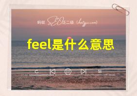 feel是什么意思