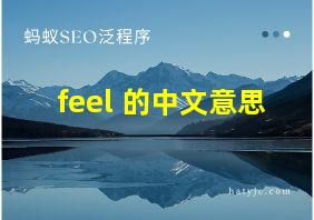 feel 的中文意思