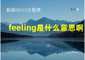 feeling是什么意思啊