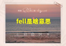 fell是啥意思