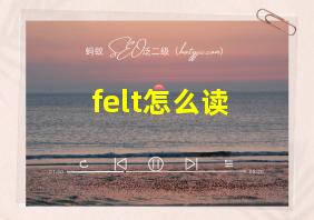 felt怎么读