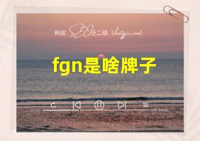 fgn是啥牌子