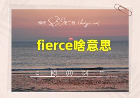 fierce啥意思