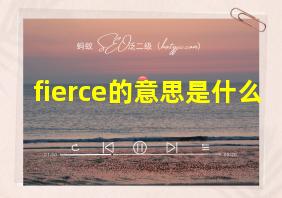 fierce的意思是什么