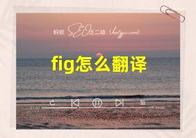 fig怎么翻译