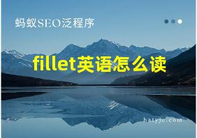 fillet英语怎么读