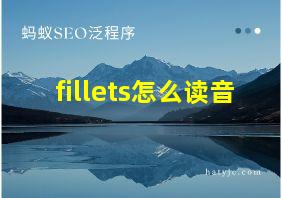 fillets怎么读音