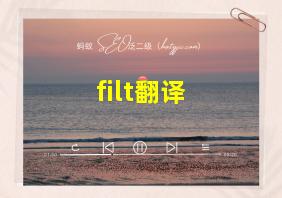 filt翻译