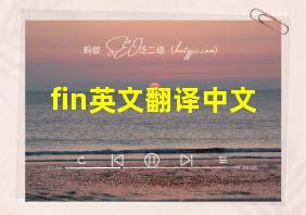 fin英文翻译中文