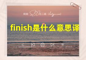 finish是什么意思译