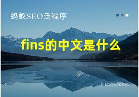 fins的中文是什么