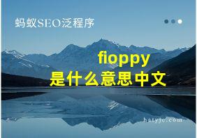 fioppy是什么意思中文