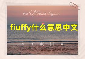 fiuffy什么意思中文