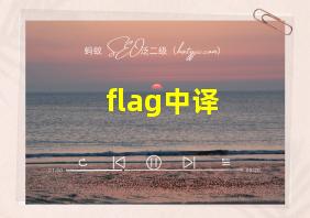 flag中译