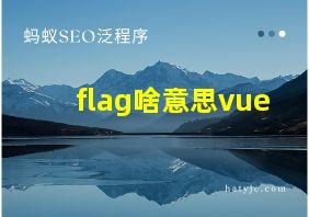 flag啥意思vue