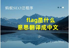 flag是什么意思翻译成中文