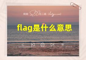 flag是什么意思