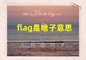 flag是啥子意思