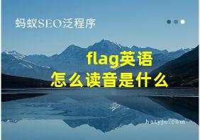 flag英语怎么读音是什么