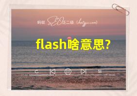 flash啥意思?