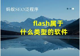 flash属于什么类型的软件