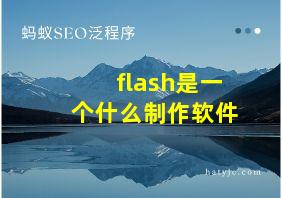 flash是一个什么制作软件