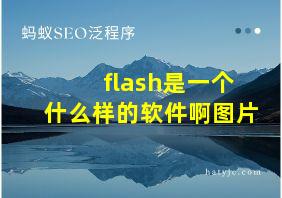 flash是一个什么样的软件啊图片