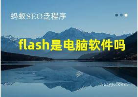 flash是电脑软件吗